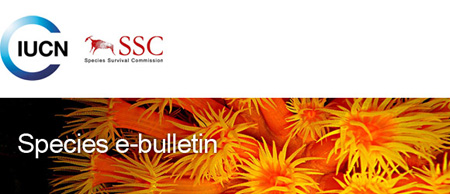 IUCN SSC Species e-bulletin February 2015